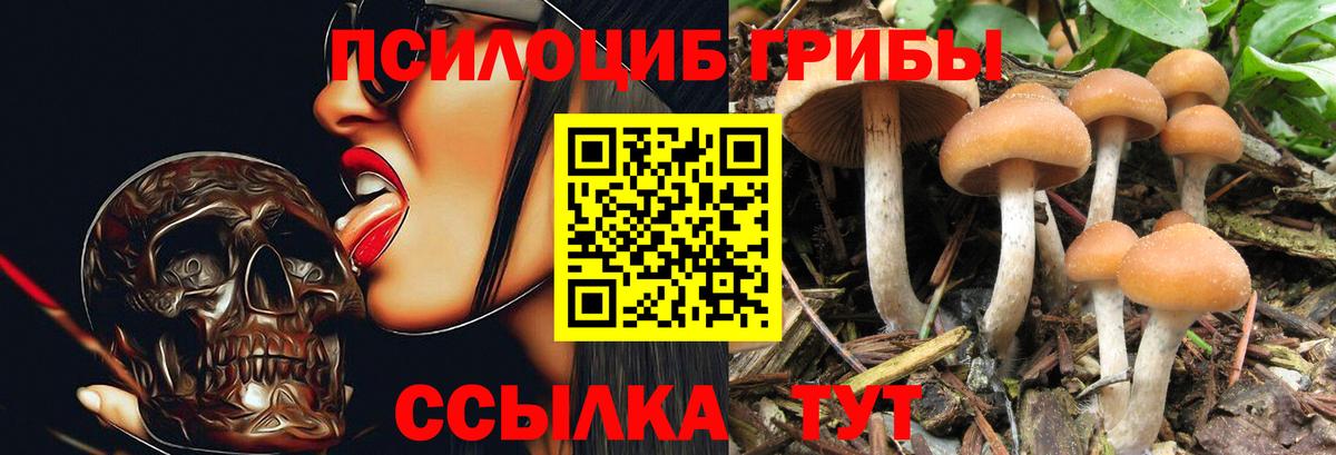 Галлюциногенные грибы Cubensis  где купить наркоту  Александров  Галлюциногенные грибы мухоморы  Вход с VPN 